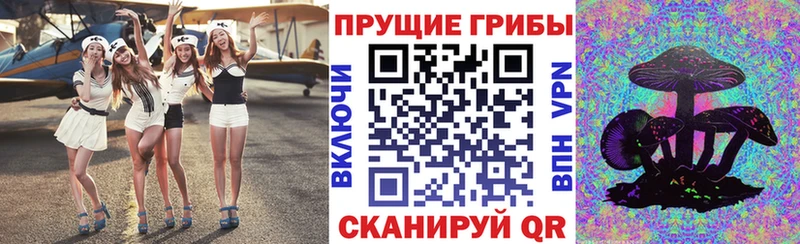 Псилоцибиновые грибы Psilocybine cubensis  где можно купить   Верхнеуральск 